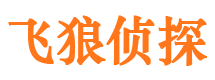 涟源外遇出轨调查取证